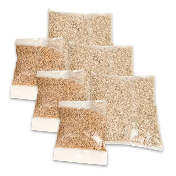 Kit de hierba Cat Grass Kit Catit