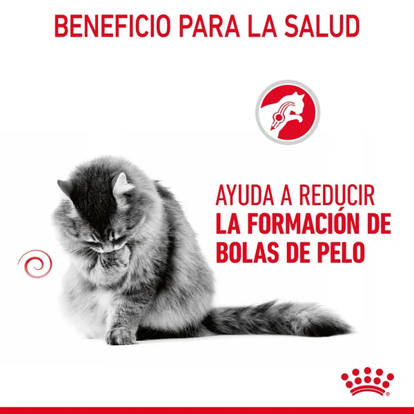 Royal Canin Hairball Care comida húmeda en salsa para el cuidado de las bolas de pelo en gato adulto 12 x 85 g
