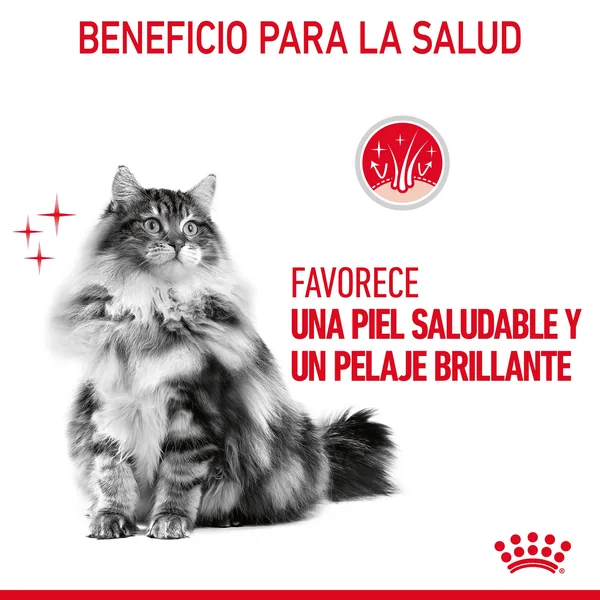 Royal Canin Intense Beauty comida húmeda en salsa para el cuidado de la piel ye el pelaje en gato adulto 12 x 85 g