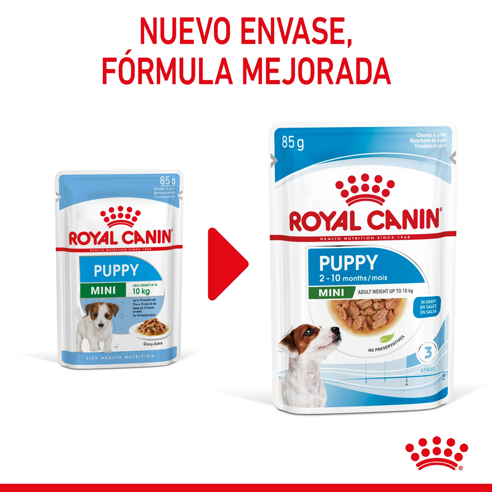 Royal Canin Mini Puppy comida húmeda para cachorro de razas tamaño pequeno 12 x 85 g