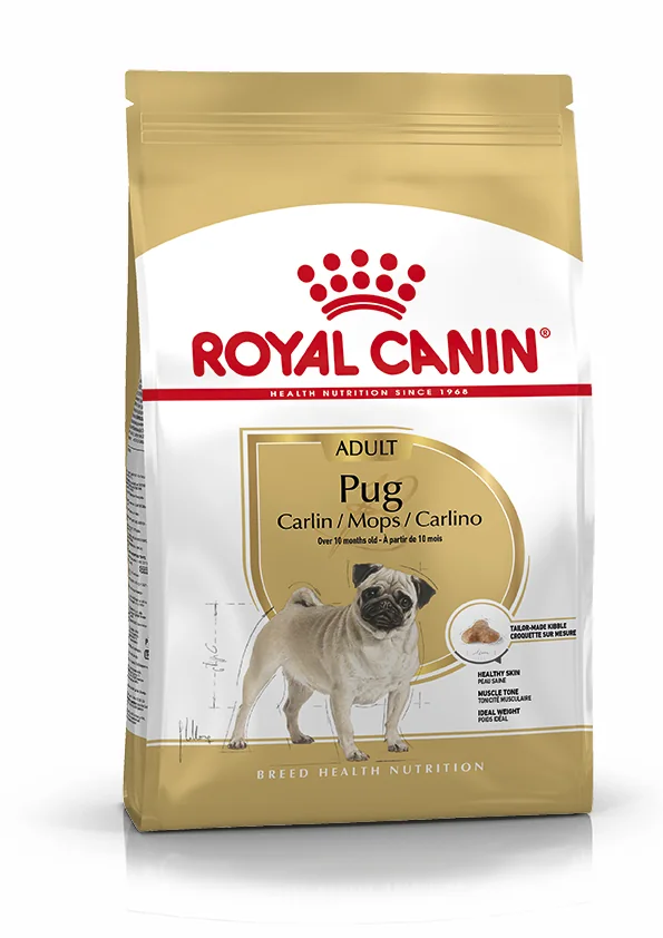 Royal Canin Pug Adult pienso para perro adulto carlino