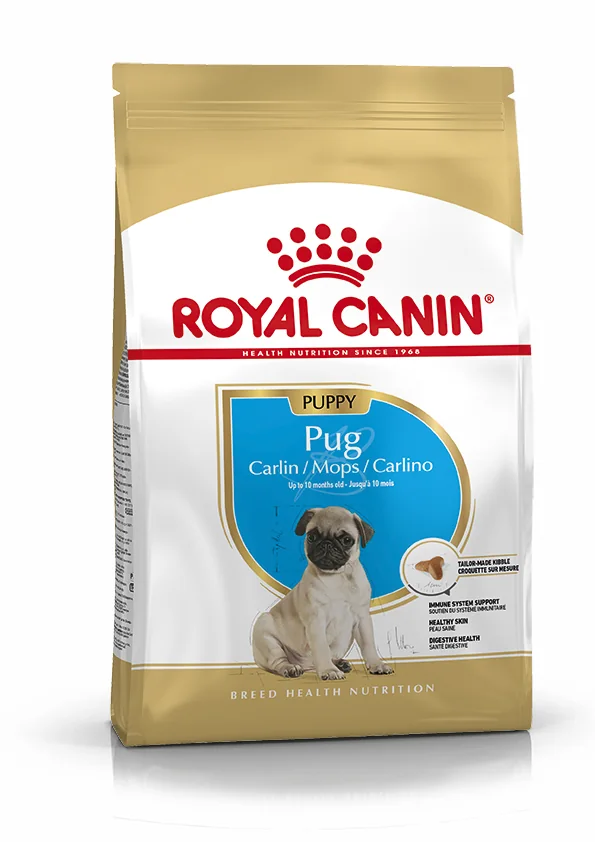 Royal Canin Pug Puppy pienso para cachorro carlino 1,5 kg