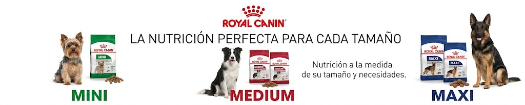 Don Mascota