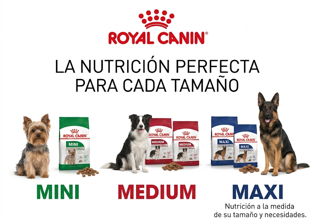 Don Mascota