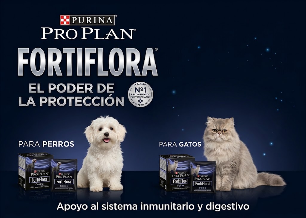 Don Mascota