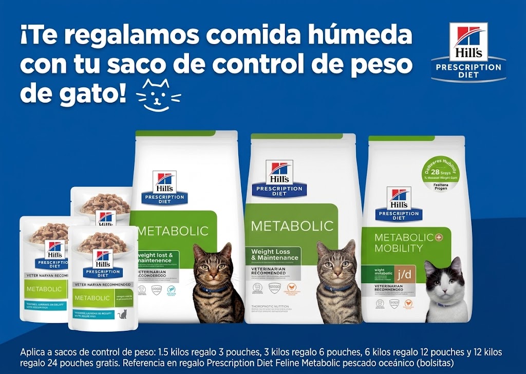 Don Mascota